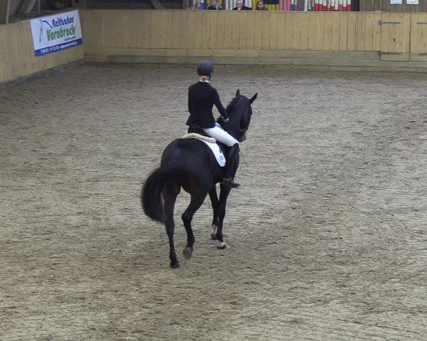 Reitturnier Sörup 2018