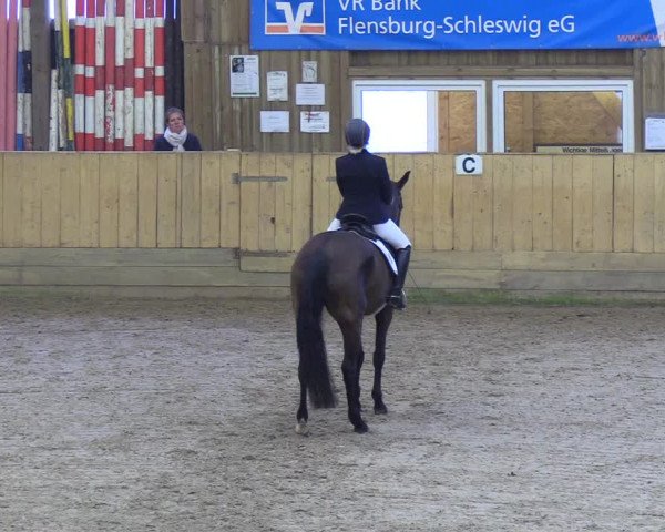 Reitturnier Sörup 2018