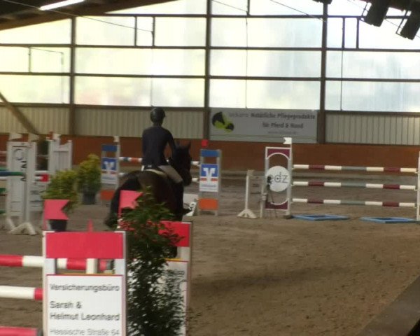 Reitturnier Viernheim 2018
