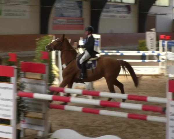 Reitturnier Viernheim 2018