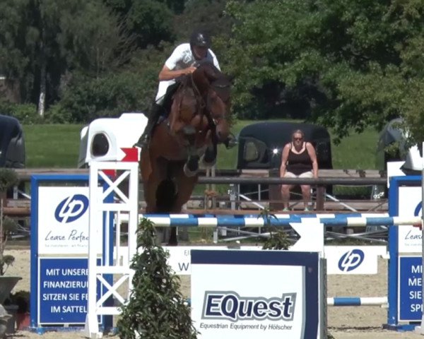 stallion Space Cowboy (Oldenburg, 2012, from Diarado)