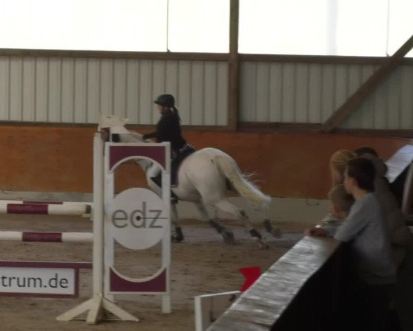 Reitturnier Viernheim 2018