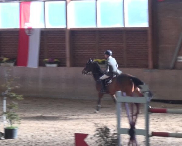 Reitturnier Köln-Leverkusen 2018
