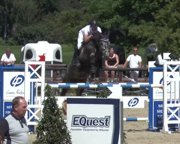 jumper Conthea 2 (Westphalian, 2012, from Comme il Faut)