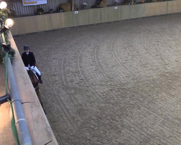 Reitturnier Sörup 2018