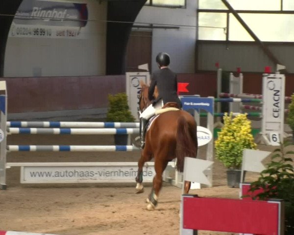 Reitturnier Viernheim 2018