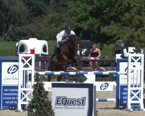 jumper Crispy'N Cream (Holsteiner, 2012, from Contender)