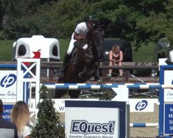 jumper Guitano 20 (Hanoverian, 2012, from Graf Galen)