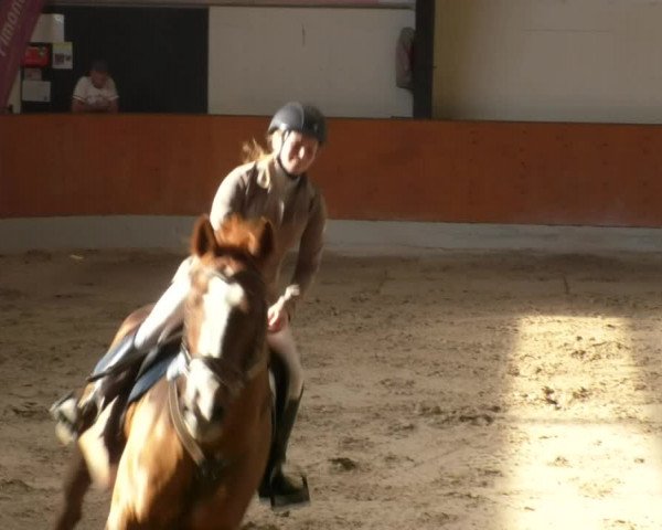 Reitturnier Viernheim 2018
