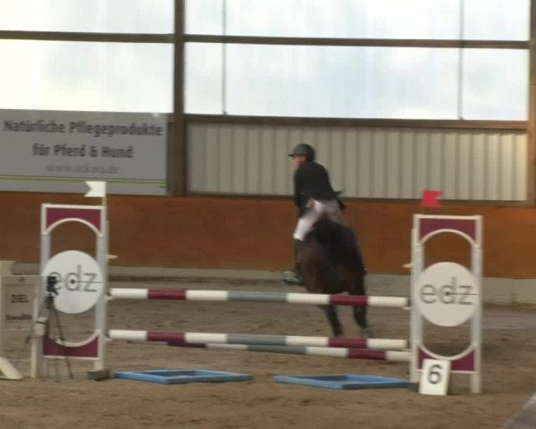 Reitturnier Viernheim 2018