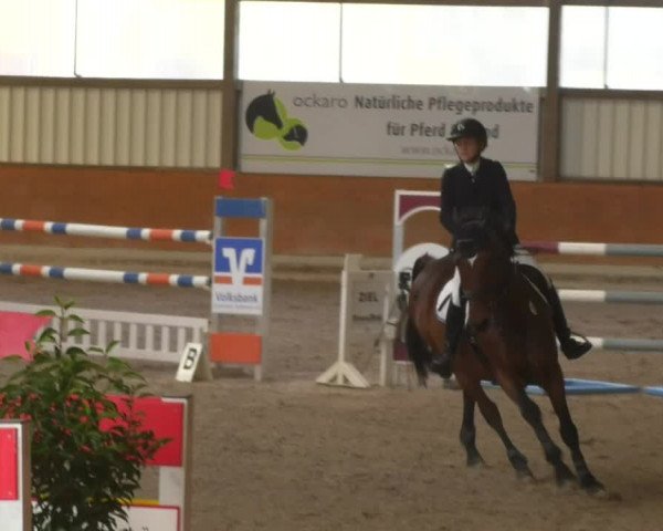 Reitturnier Viernheim 2018