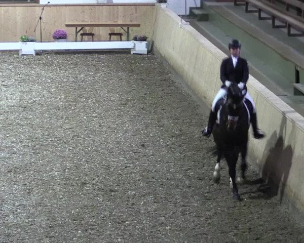 Reitturnier Hövelhof 2018