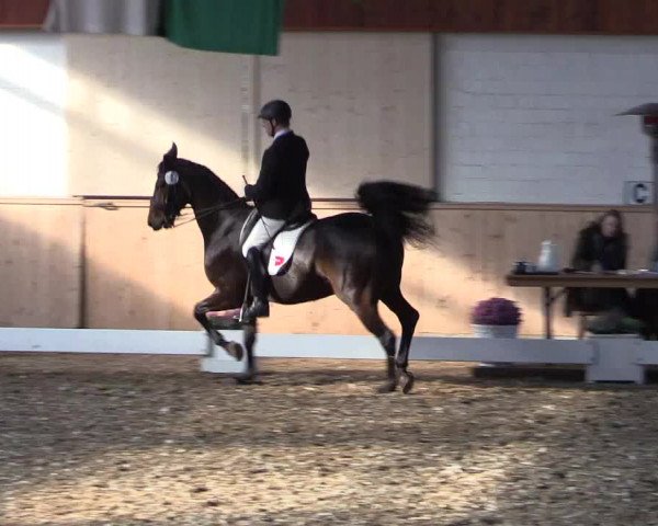 Reitturnier Hövelhof 2018