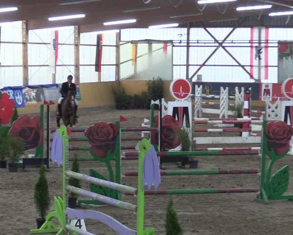 Reitturnier Pausin 2018