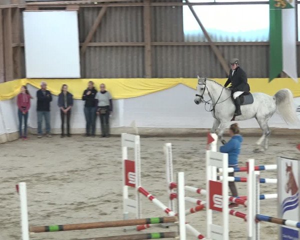 Reitturnier Wil 2018
