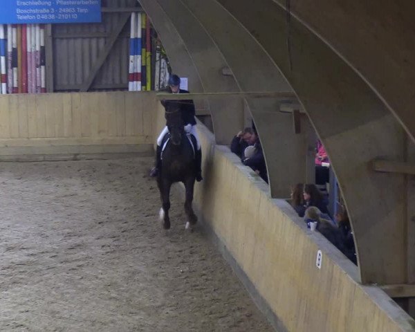 Reitturnier Sörup 2018