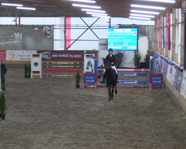 Reitturnier Pausin 2018