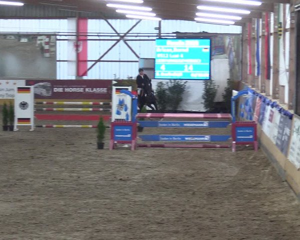 Reitturnier Pausin 2018