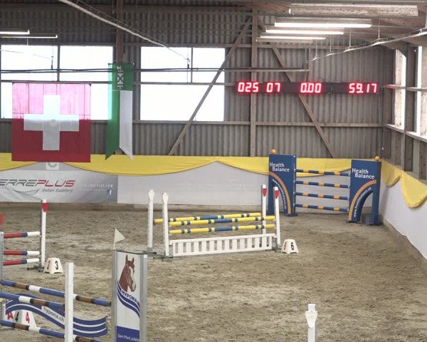 Reitturnier Wil 2018