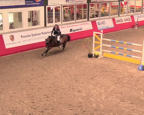 Salzkottener Pferdefestival 2018