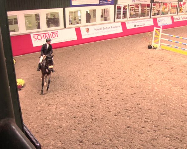 Salzkottener Pferdefestival 2018