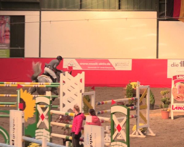 Salzkottener Pferdefestival 2018