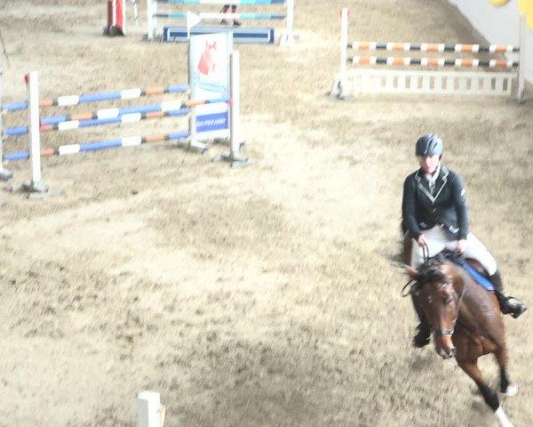 Reitturnier Wil 2018