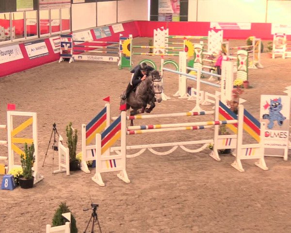 Salzkottener Pferdefestival 2018