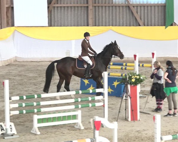 Reitturnier Wil 2018