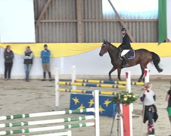 Reitturnier Wil 2018