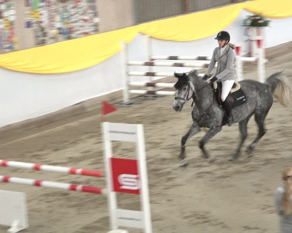 Reitturnier Wil 2018