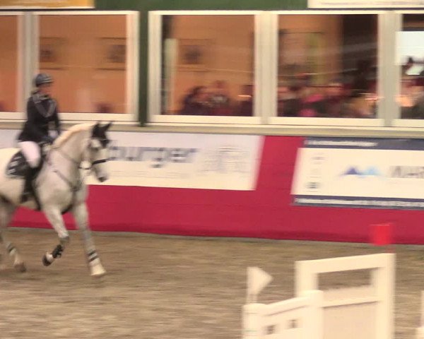 Salzkottener Pferdefestival 2018