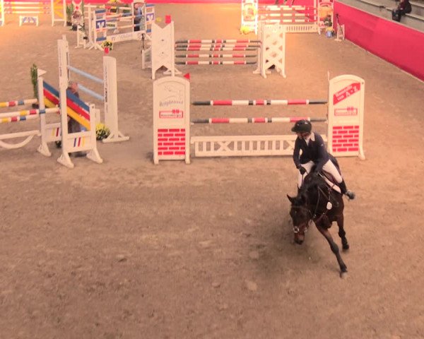 Salzkottener Pferdefestival 2018