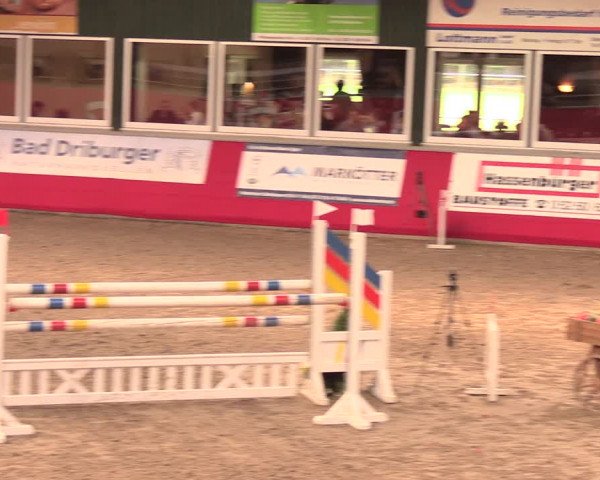 Salzkottener Pferdefestival 2018