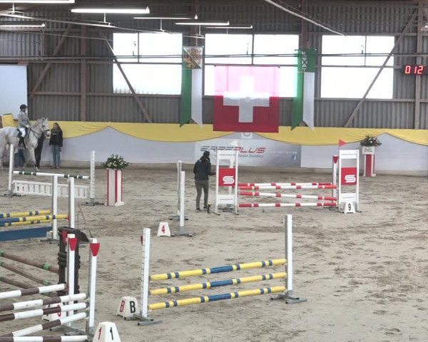 Reitturnier Wil 2018