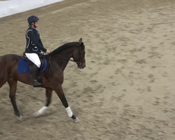 Reitturnier Wil 2018