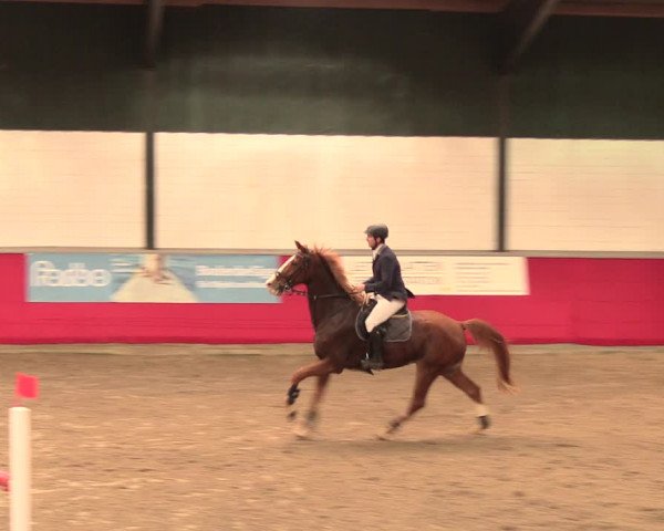 Salzkottener Pferdefestival 2018