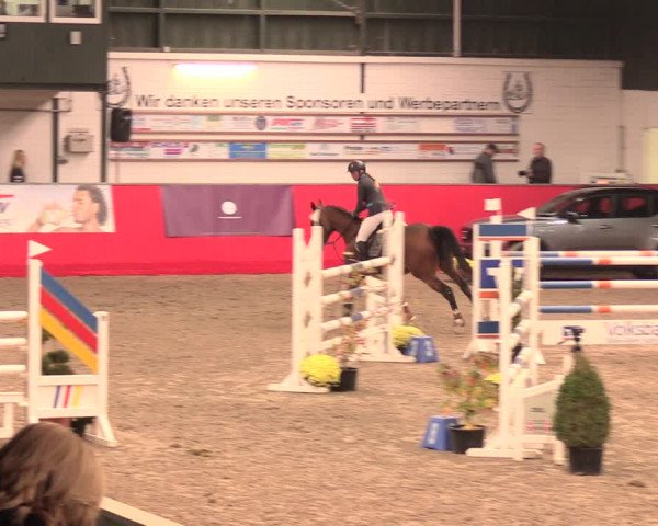 Salzkottener Pferdefestival 2018