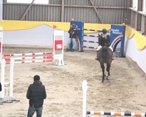 Reitturnier Wil 2018