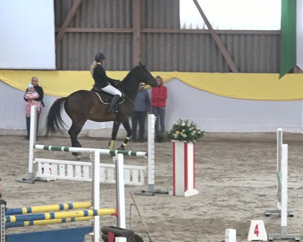 Reitturnier Wil 2018