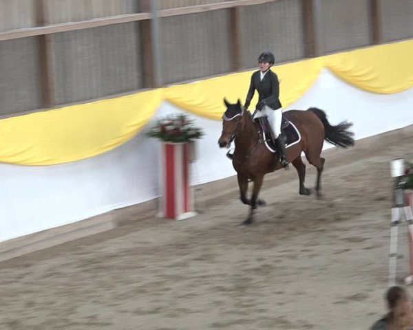 Reitturnier Wil 2018