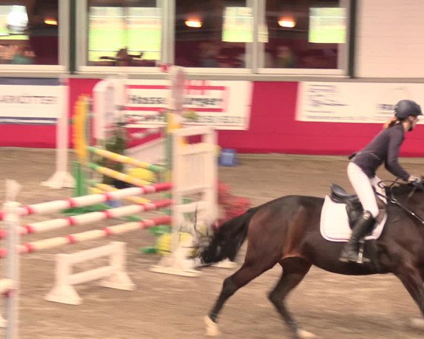 Salzkottener Pferdefestival 2018