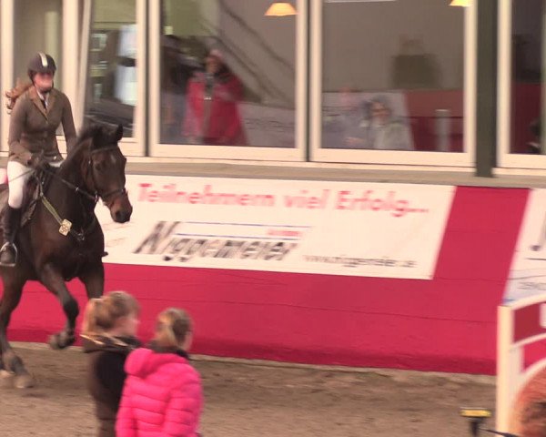 Salzkottener Pferdefestival 2018