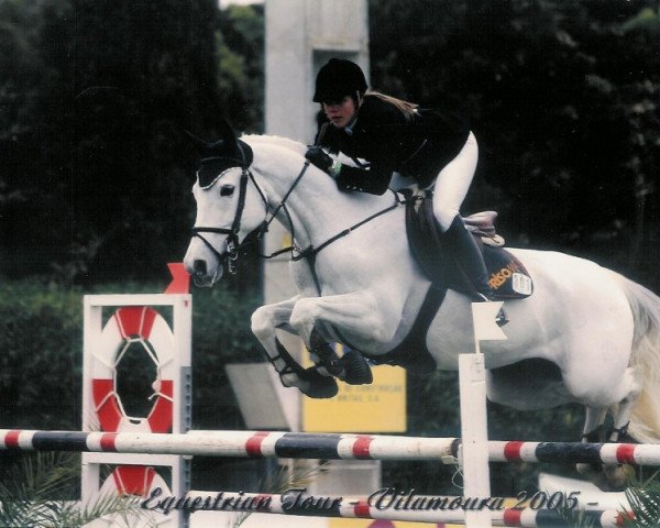 Zuchtstute Nelke van het Waterschoot (Belgisches Warmblut, 1990, von Latano I)