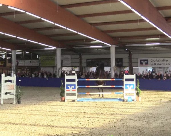 Reitturnier Isterberg 2018