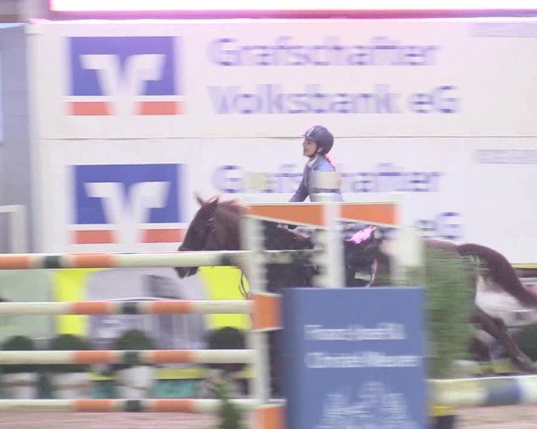 Reitturnier Isterberg 2018