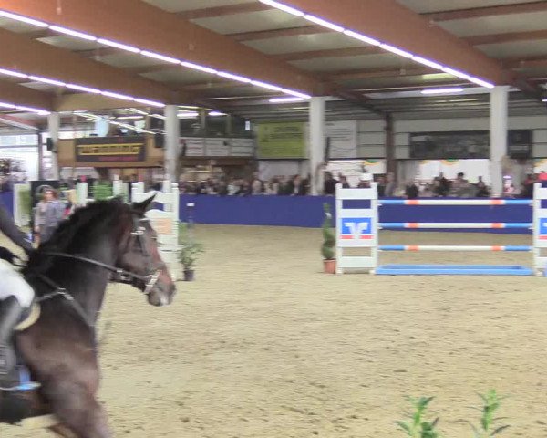Reitturnier Isterberg 2018