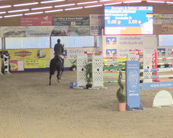 Reitturnier Isterberg 2018