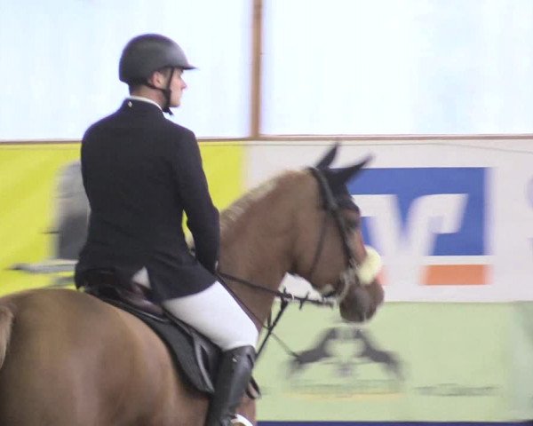 Reitturnier Isterberg 2018