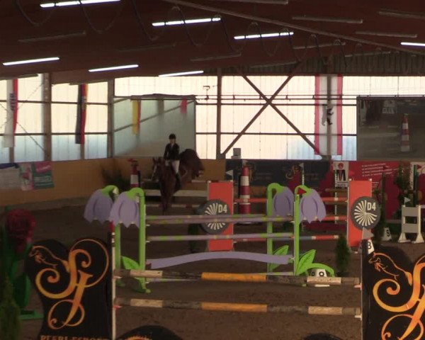 Reitturnier Pausin 2018